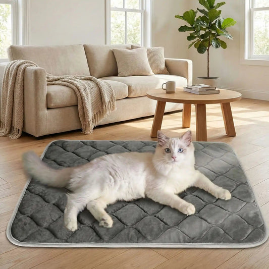 tapis chauffant pour chat confortable maison