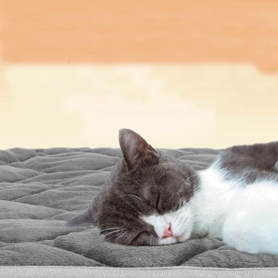 tapis chauffant chat sommeil doux et reposant