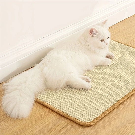 tapis griffoir chat polyvalent repos et jeu