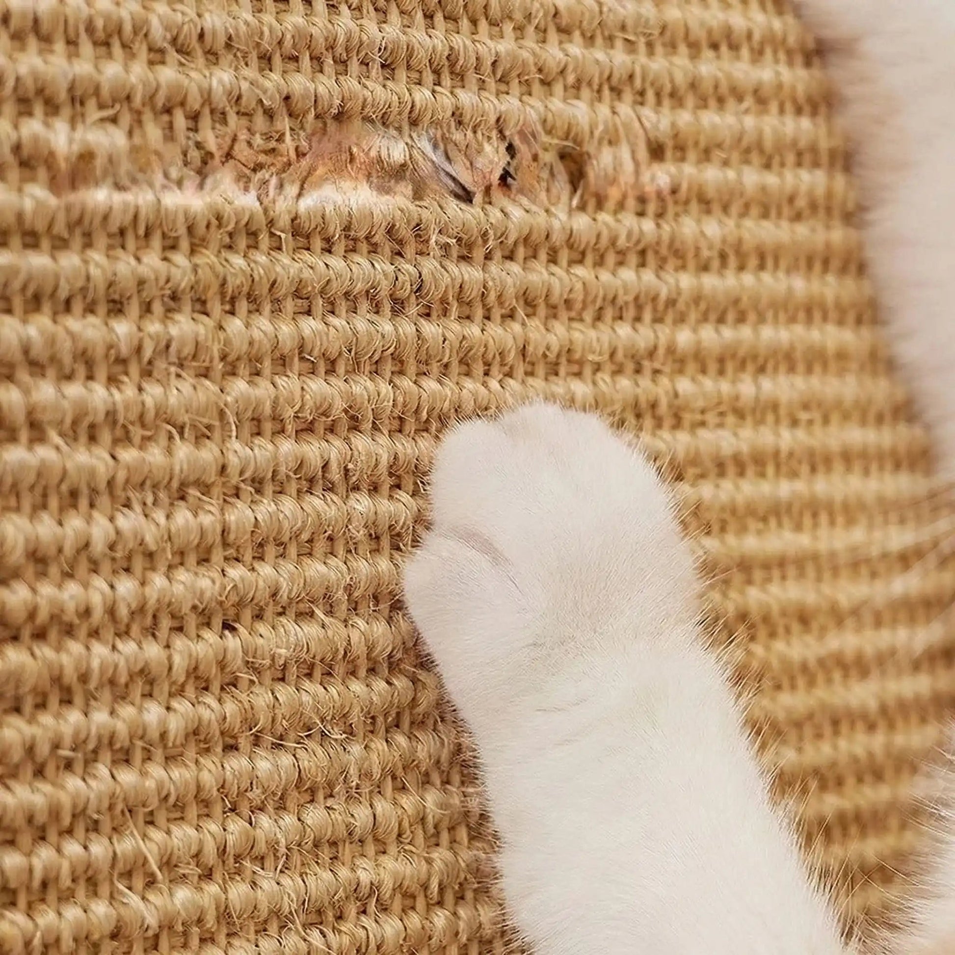 tapis griffoir chat sisal résistant griffes