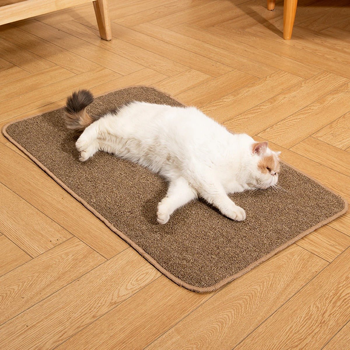 tapis griffoir chat beige naturel texture fibres et résistantes