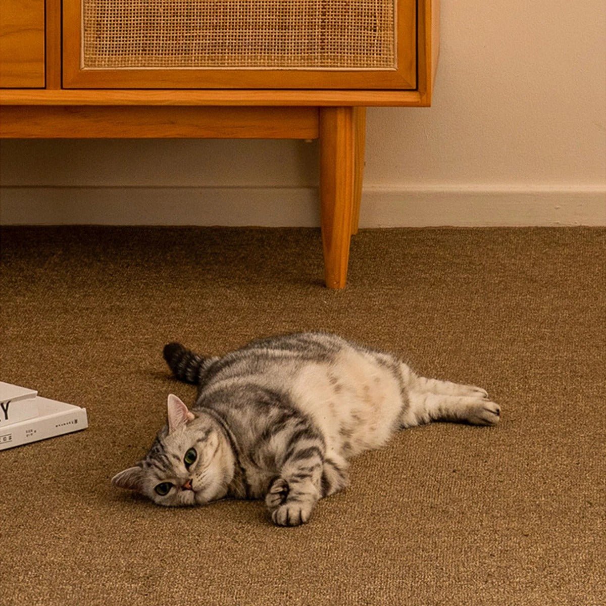 tapis griffoir chat intégration salon maison