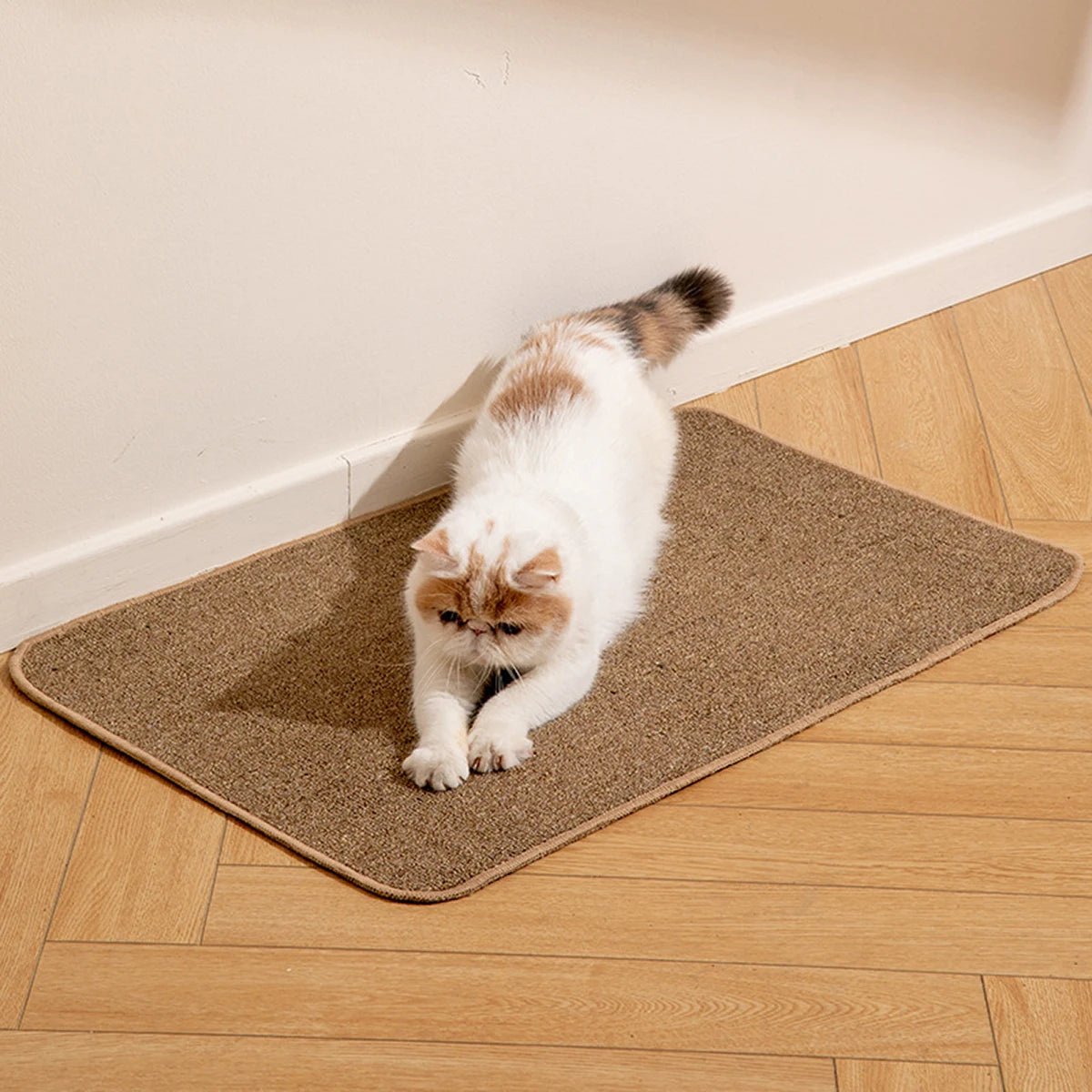 tapis griffoir chat utilisation naturelle griffes