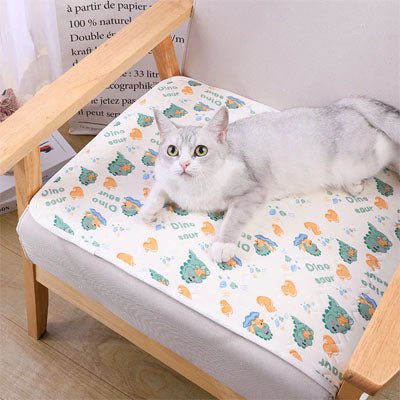 tapis rafraichissant chat canapé chaise