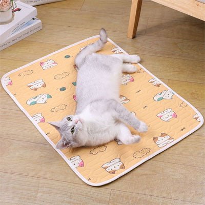 tapis rafraichissant chat confort été maison