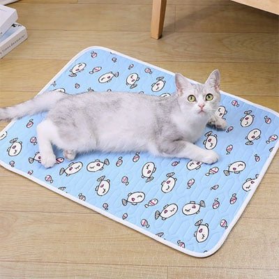 tapis rafraichissant pour chat utilisation quotidienne