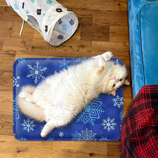 tapis rafraichissant chat confortable chat allongé maison